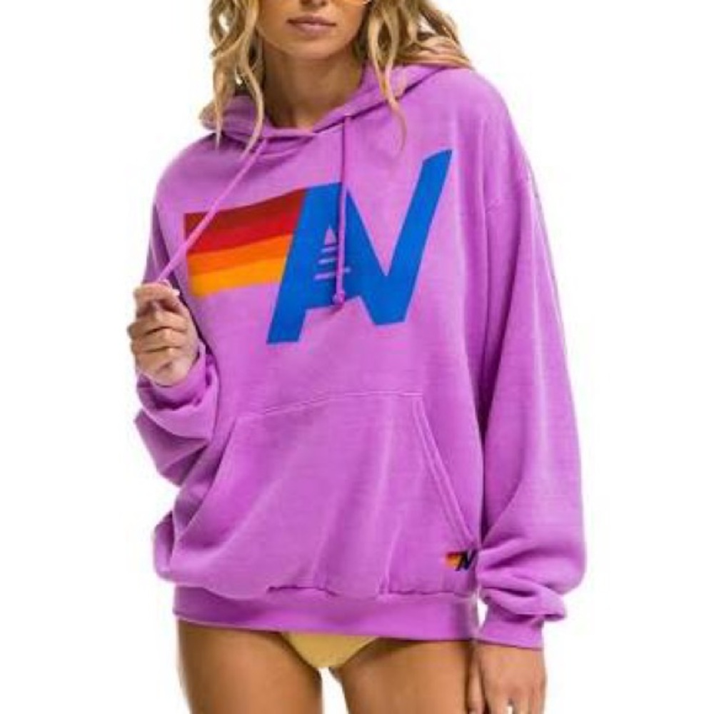 Aviator Nation Unisex VINTAGE LOGO RELAXED PULLOVER HOODIE - FADED GRAPE